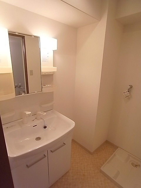 ロイヤルイン北野坂の洗面所