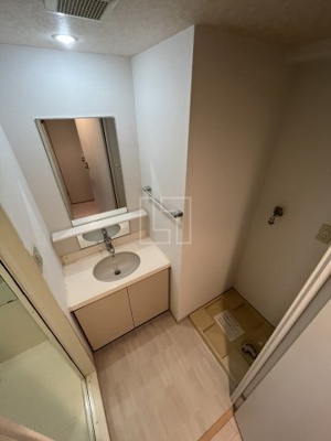 【洗面所】 | ウィルテラスなんば南 | サムティナンバ南　洗面所