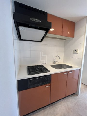 【キッチン】 | ウィルテラスなんば南 | サムティナンバ南　2口ガスシステムキッチン