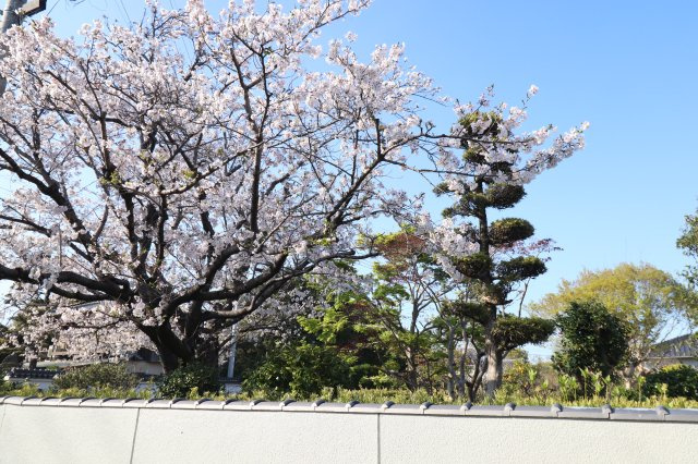 大刀洗町冨多アサヒ戸建