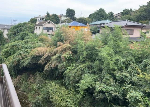 【展望】 | 眺望を気にして物件を探す場合、前面に建物が建っていないか現地で確認しましょう！前面に建物があると景色はもちろん、日当たりや風通しにも影響が出てきます。住んだ時のことを想像しながら現地見学をしましょう。