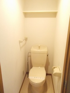 ＳＫＹ　ＭＡＮＳＩＯＮのトイレ|トイレ