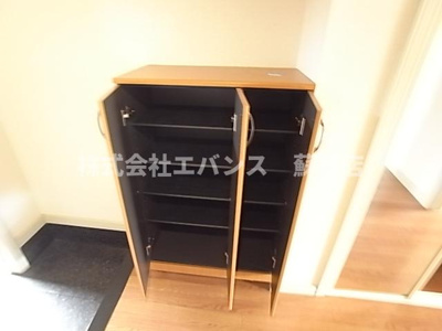  | スプリングチェリーⅡ