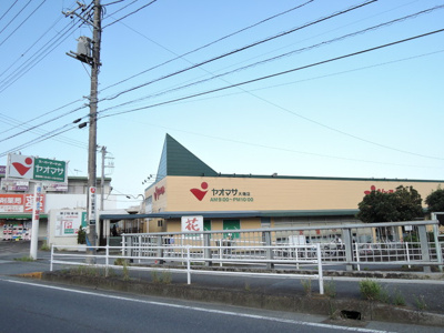 ヤオマサ 大磯店まで1000m