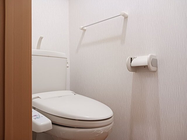 プルミエ・アムールⅢのトイレ|落ち着いたトイレです