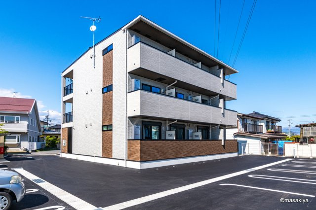 アガパンサス　Ⅱの外観