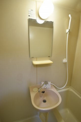 シティライフエステート難波南の洗面所