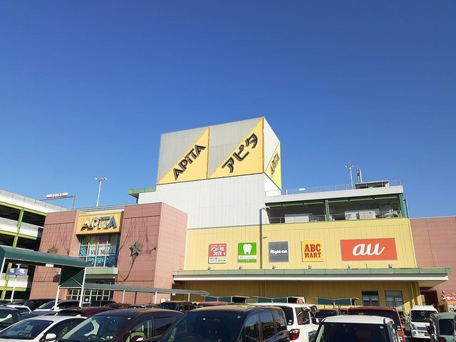 キャッスル豊Ⅱの周辺|アピタ  江南西店まで600m