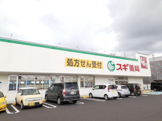 キャッスル豊Ⅱの周辺|スギ薬局　古知野店まで250m