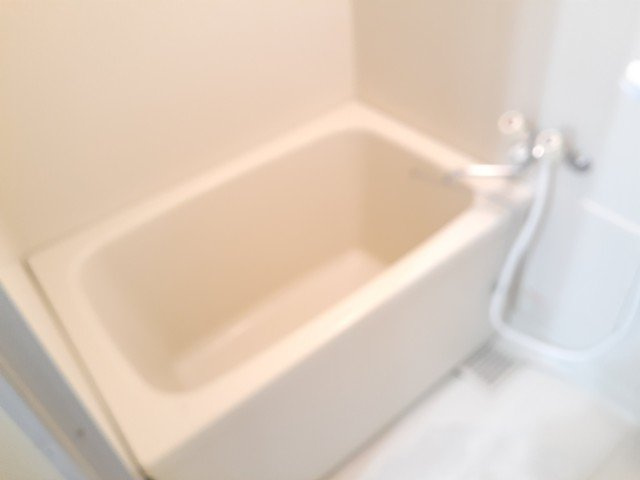 キャッスル豊Ⅱの浴室