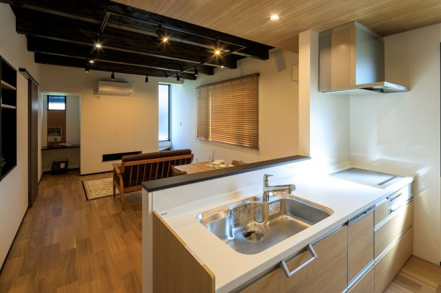 海南市大野中・新築戸建・116195のキッチン