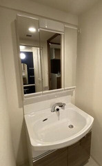 プレサンス松屋町グレースの洗面所