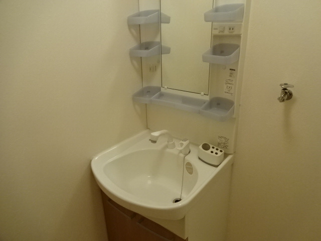 アネックス ハイブリッジＢ棟の洗面所