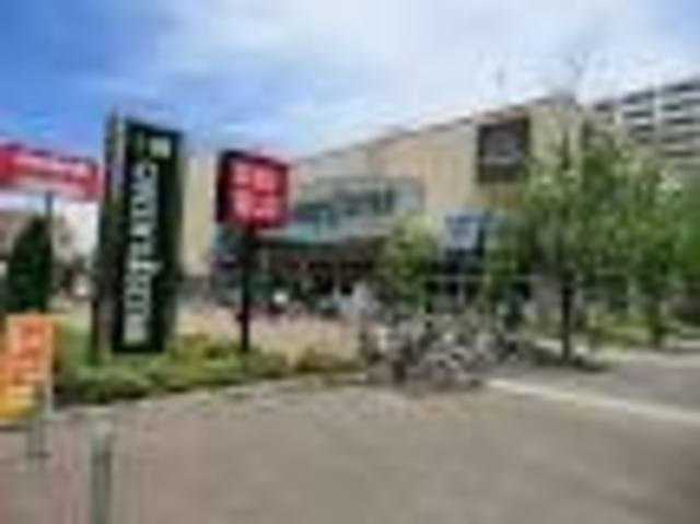 Ｌｉｎｄｅｎｂａｕｍ　Ｓｕｇｉｎａｍｉのその他|サミットストア善福寺店