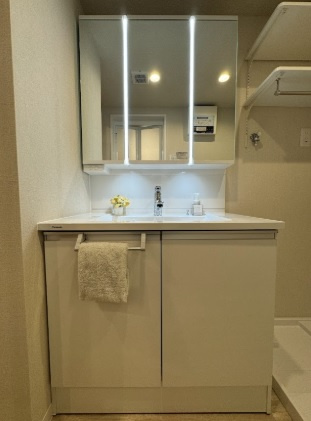 ライオンズマンション己斐本町の独立洗面台