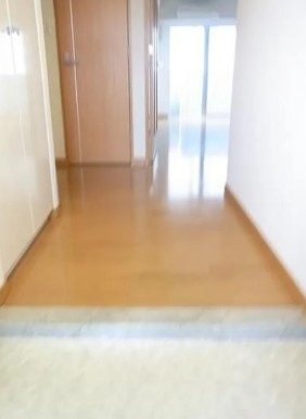 レジディア文京音羽の玄関