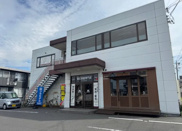 ヤマキビルの画像