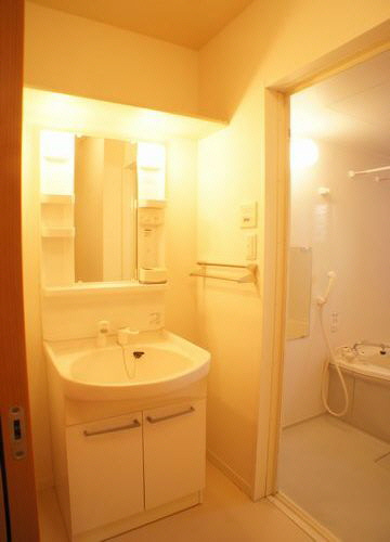 ベニールDの洗面所