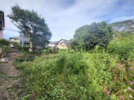 藤枝市平島　資材置き場の画像