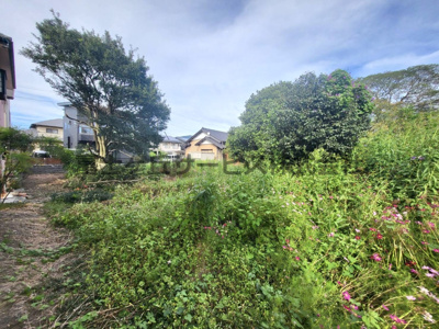 【外観】 | 藤枝市平島　資材置き場 | 公簿381.00㎡（115.25坪）、瀬戸川の土手沿いのお土地です。