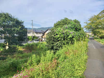 【外観】 | 藤枝市平島　資材置き場 | 公簿381.00㎡（115.25坪）、瀬戸川の土手沿いのお土地です。