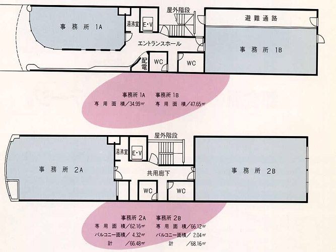 メイブン栄ビル　の間取り