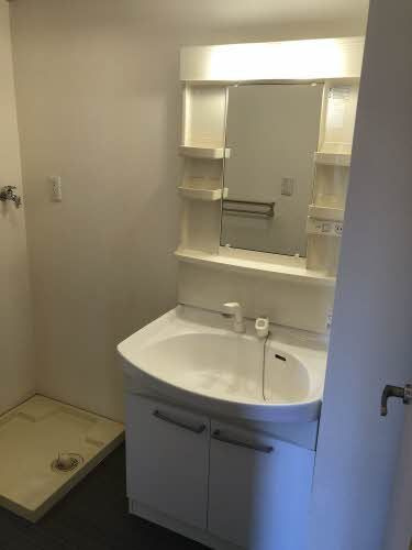 シャーメゾン長津の洗面所