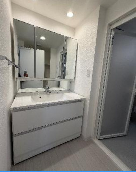 【独立洗面台】 | グランパース亀戸