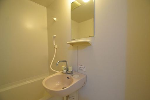 ロージェ西灘の洗面所