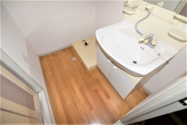 メゾンフローラの洗面所