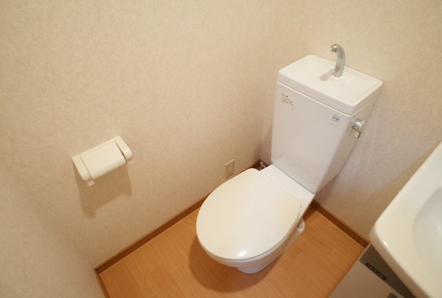 セレブ岡本のトイレ