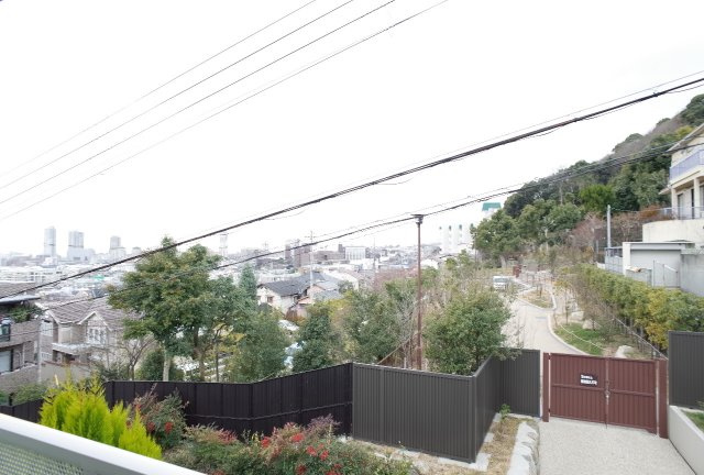 セレブ岡本の展望