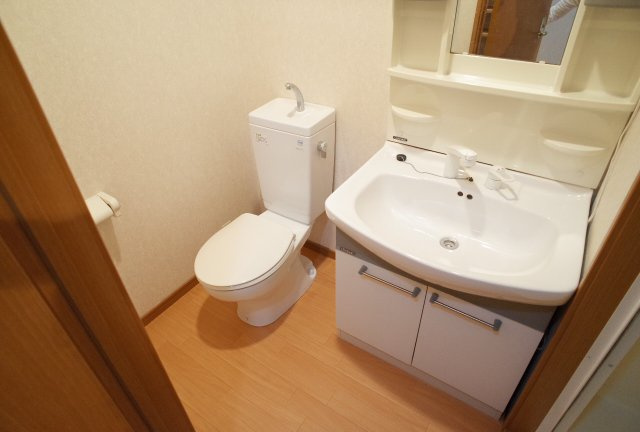 セレブ岡本の洗面所