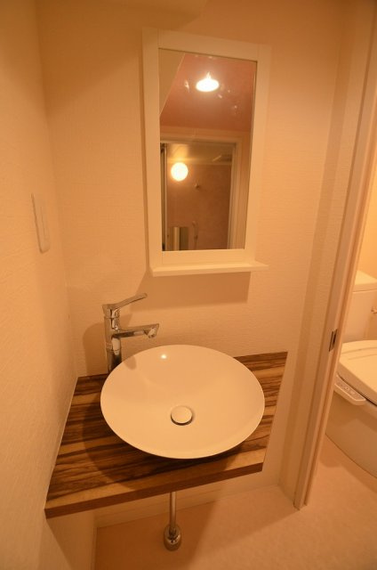 シャトー野崎の洗面所