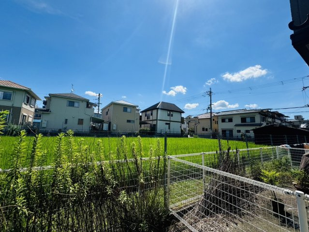 ベルパレスの展望