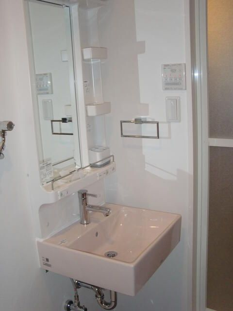 ロワール清川の洗面所