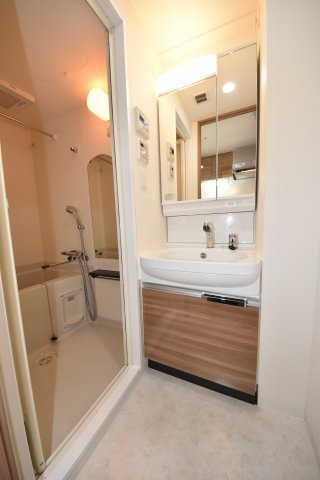 ララプレイス阿波座駅前フェリオの洗面所