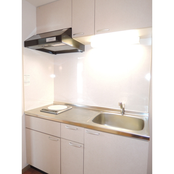 グランパパスのキッチン