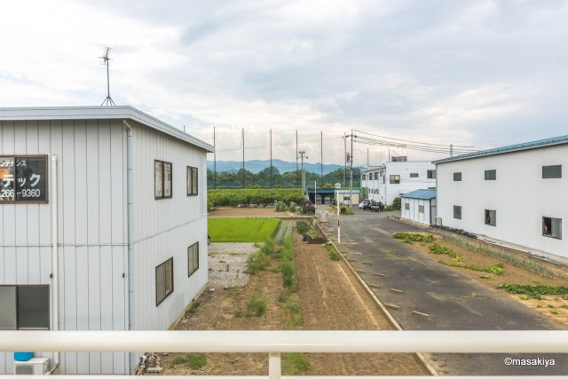 パインヒルズの展望|眺望