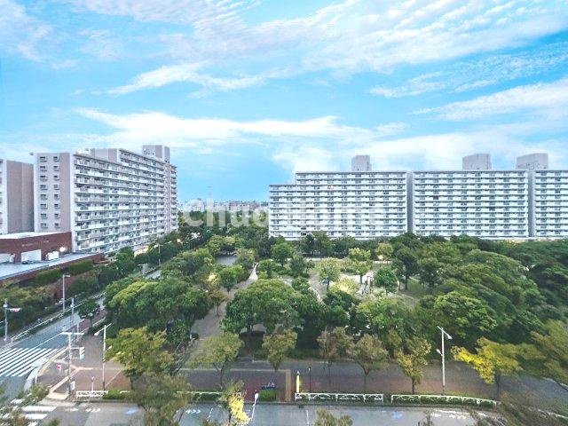 清新南ハイツ12号棟の展望|手を伸ばせば、ふれることが出来そうな環境が、そのままインテリアになったような印象です。その豊かな眺望にふさわしい空間には、通風・採光にも優れ、心地よい光と風があふれています