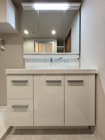 東向島サニーホームズの独立洗面台