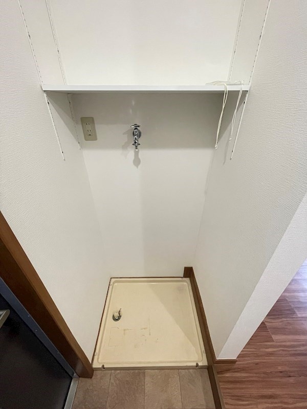 パセオミフネのその他