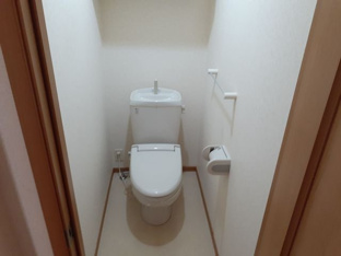 落ち着いた色調のトイレです