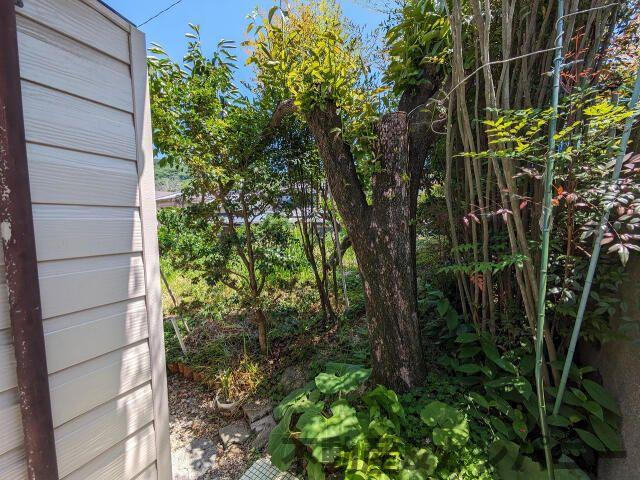 松山市吉藤２丁目の売地の周辺