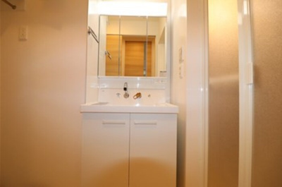 【洗面所】 | D-room樋井川３丁目 | 103 洗面所