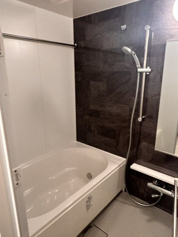 ザ・パークハビオ神楽坂レジデンスSouthの浴室