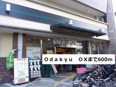 【周辺】 | ボニートプリムラ