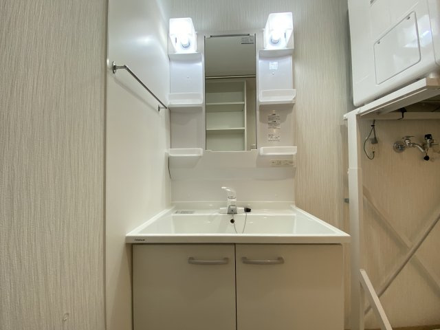 マンションエクセルハエバルの洗面所