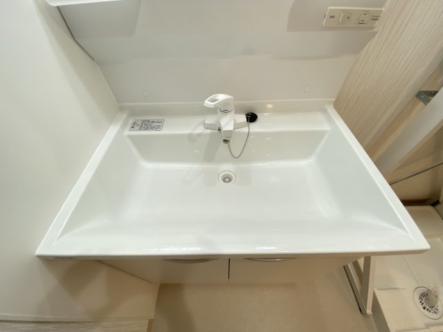 マンションエクセルハエバルの洗面所