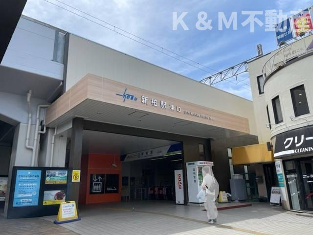 ジュネパレス柏第５０２の周辺| 